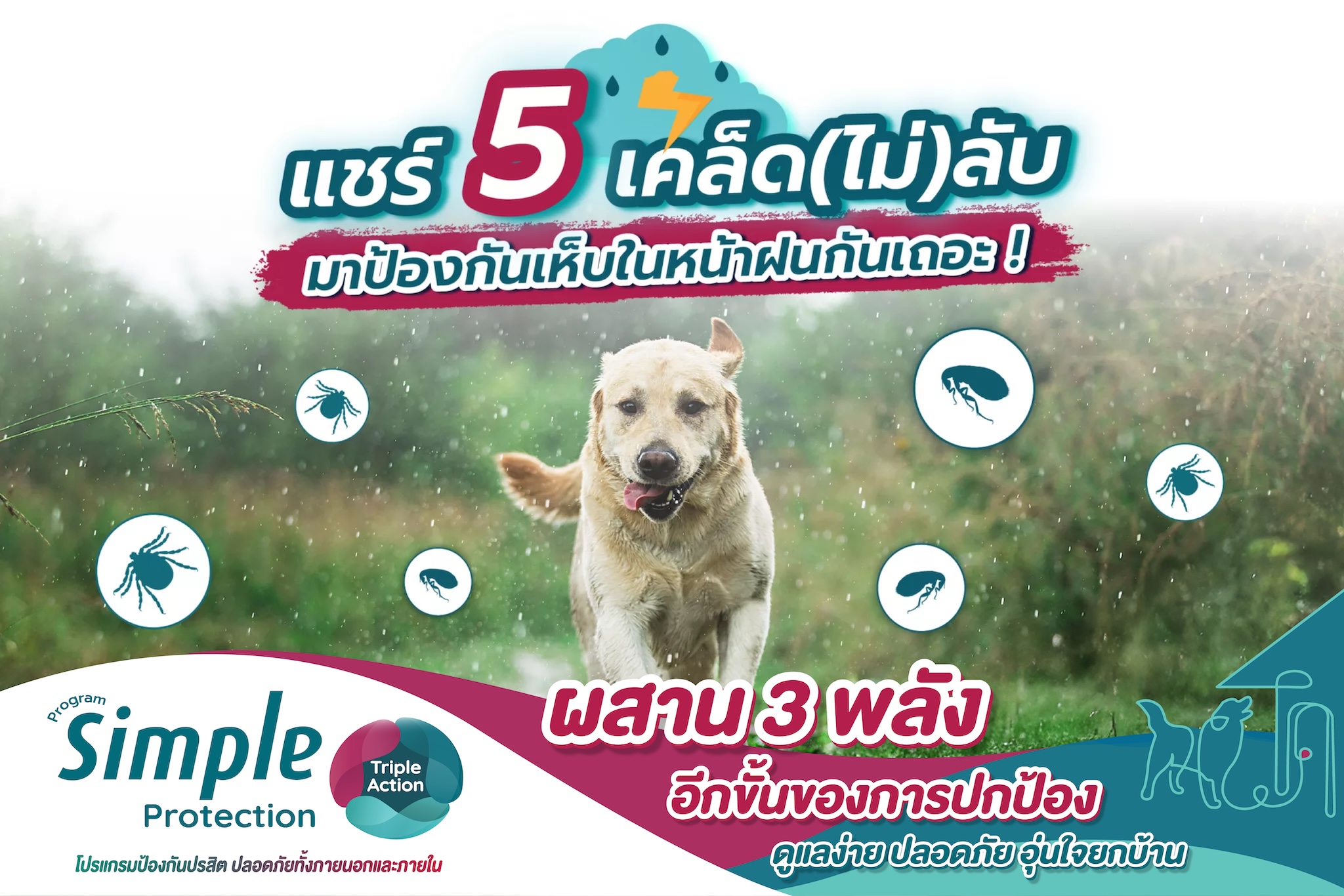 แชร์ 5 เคล็ด(ไม่)ลับ