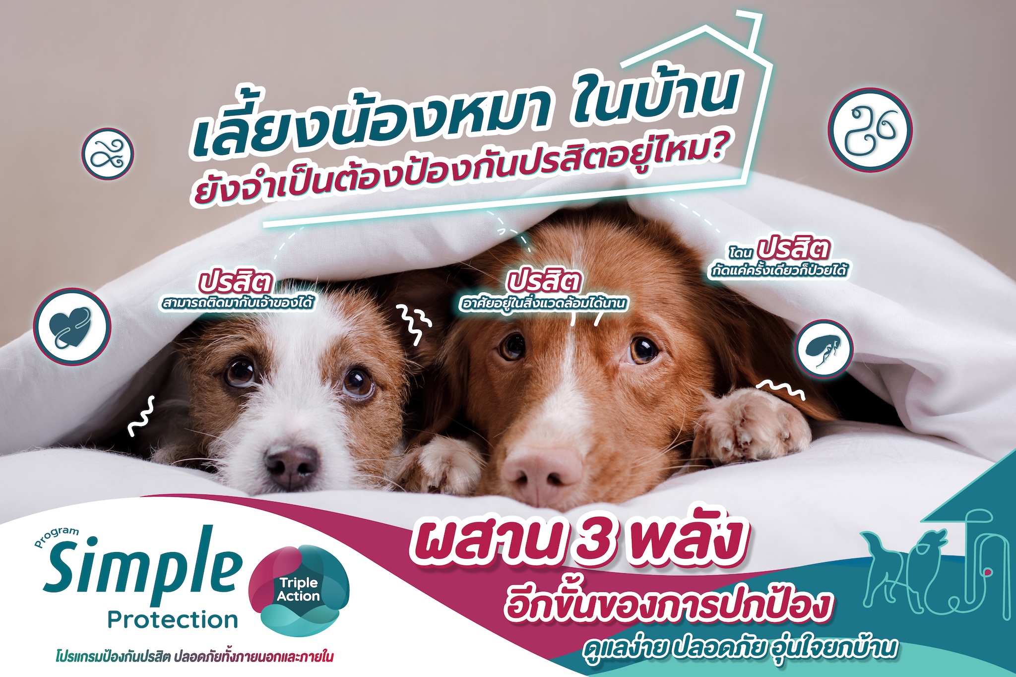 เลี้ยงน้องหมาในบ้าน ยังจำเป็นต้องป้องกันปรสิต