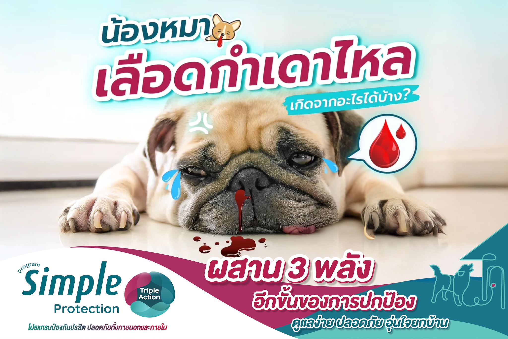 น้องหมาเลือดกำเดาไหล เกิดจากอะไรได้บ้าง ?