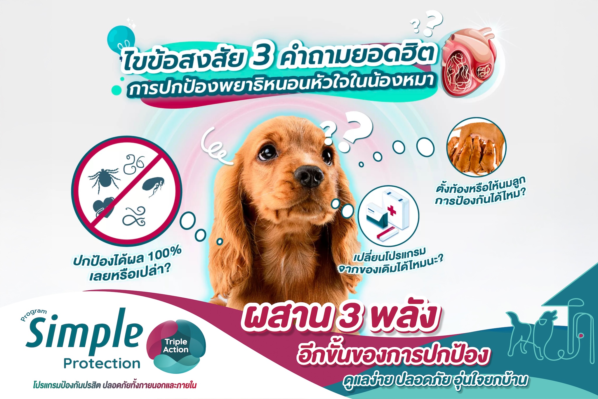 หากคุณเป็นคนหนึ่งที่อยากเสริมเกราะป้องกันพยาธิหนอนหัวใจให้น้องหมา แต่ยังคงมีข้อสงสัยฟังทางนี้